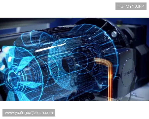 掌握大发国际真人娱乐节目的最新动态与未来发展趋势